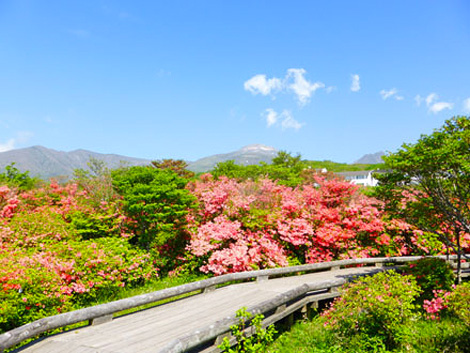 Nasu-Kogen